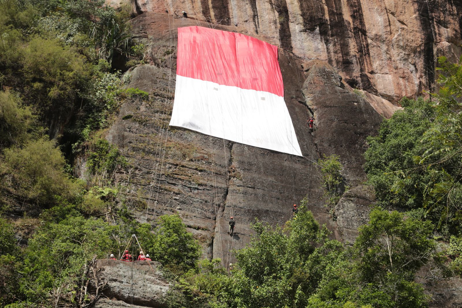 FPTI Sumbar Kibarkan Bendera Merah Putih 15x25 Meter di Tebing Lembah Harau, Jadi Tradisi Tahunan