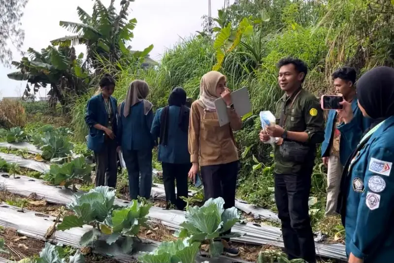 KKN Undip Dampingi Petani Getasan Urus Sertifikasi Prima 3 demi Pasok Program MBG