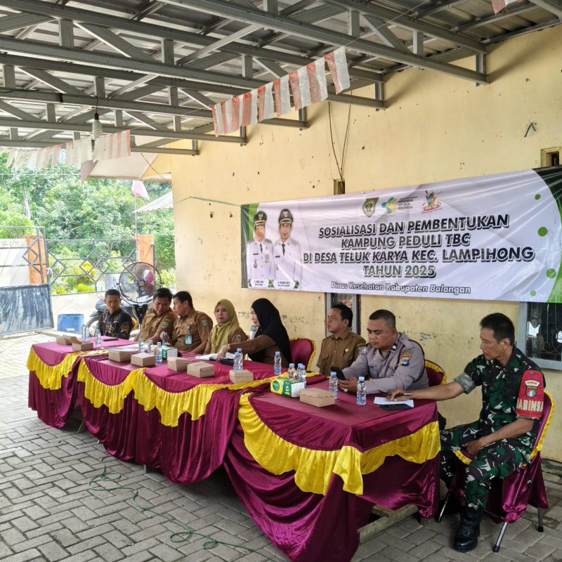 Puskesmas Tanah Habang Balangan Luncurkan Empat Program Unggulan, dari Game Cegah Anemia hingga Aplikasi Pantau Stunting