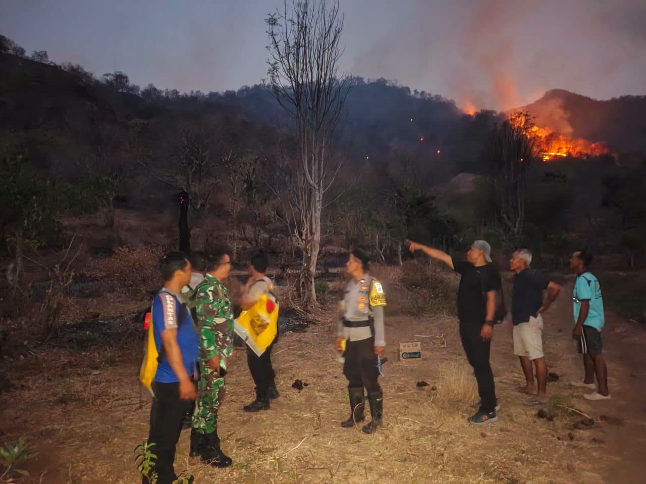 Kebakaran Hutan di Perbukitan Gunung Gondol Buleleng, Polsek Gerokgak dan Warga Padamkan Api