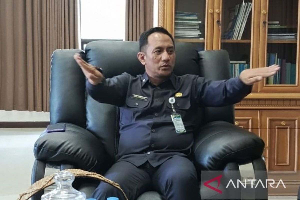 Pemprov Kepulauan Bangka Belitung Perkuat Pendampingan 133.452 UMKM lewat Program Holding, Target Tembus Pasar Global