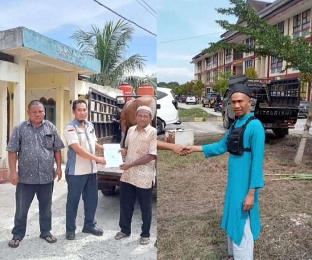 Petani Sawit Teluk Aur Rambah Samo Rasakan Manfaat Land Application PT KSM, Produktivitas Kebun Meningkat Hingga 50 Persen