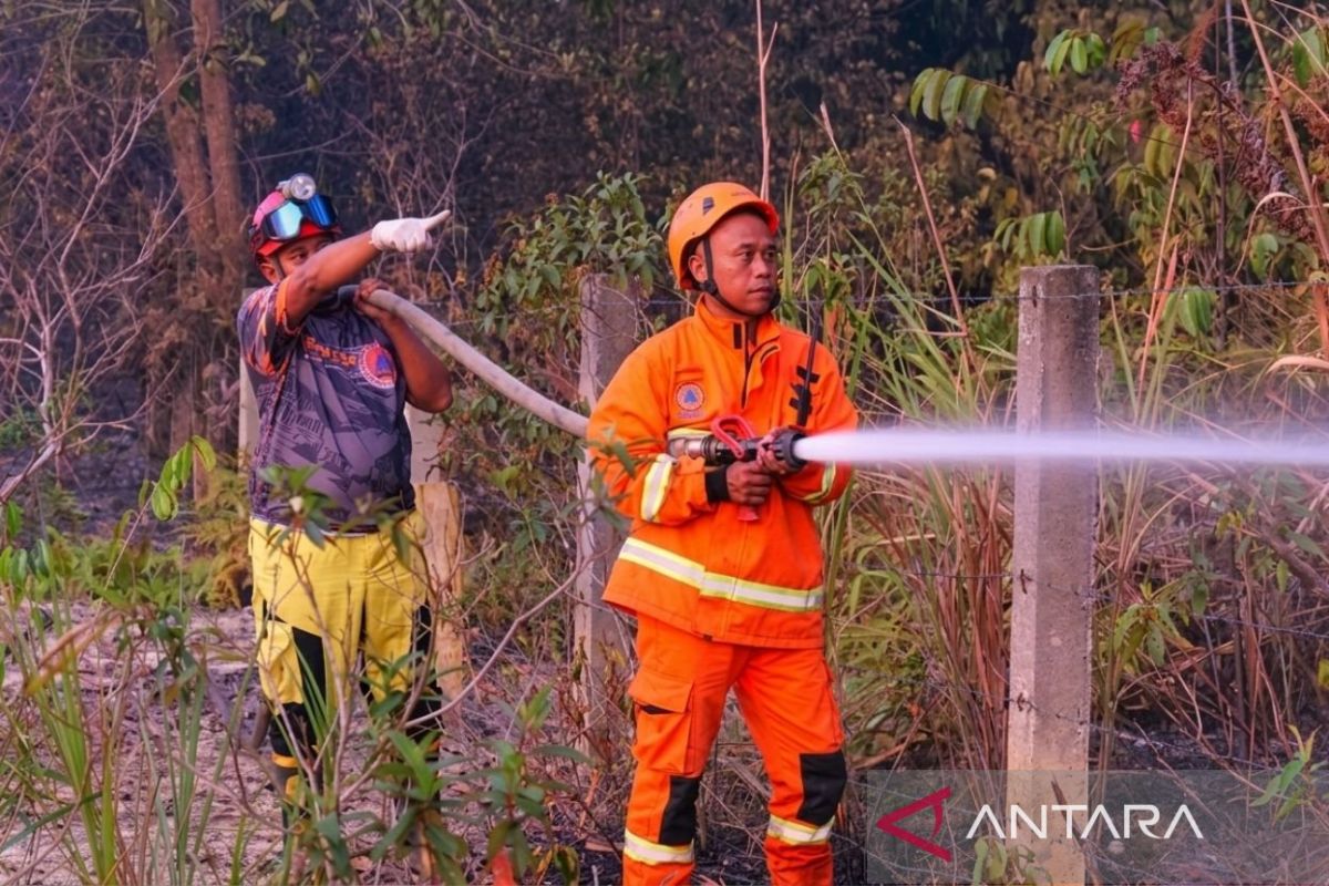 BPBD Kaltim Sebut Penegakan Larangan Bakar Lahan Krusial Cegah Karhutla, 10 Hektare Hangus di Tol Samarinda-Balikpapan