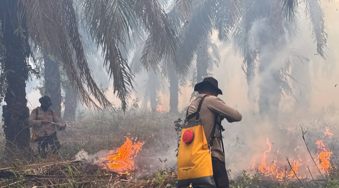 Polda Sumsel Turunkan Personel Samapta Padamkan Karhutla di Lahan PT PAR OKI, Semprot Titik Api di Desa Pulau Geronggang