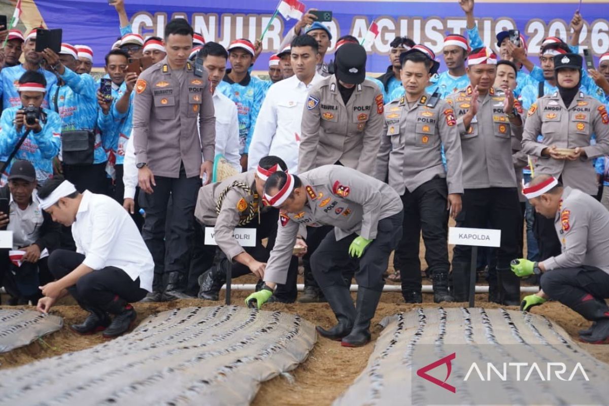 Polri Tanam Bawang Putih di 14 Daerah Jawa Barat, Target Panen Capai 2.795 Ton untuk Kurangi Impor