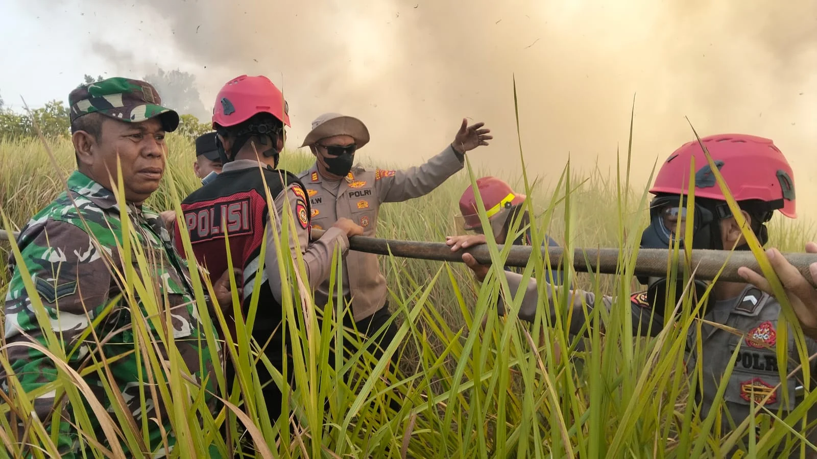 Karhutla Berau Meluas, 426 Titik Panas Terdeteksi dan Jarak Pandang Turun hingga 2 Kilometer