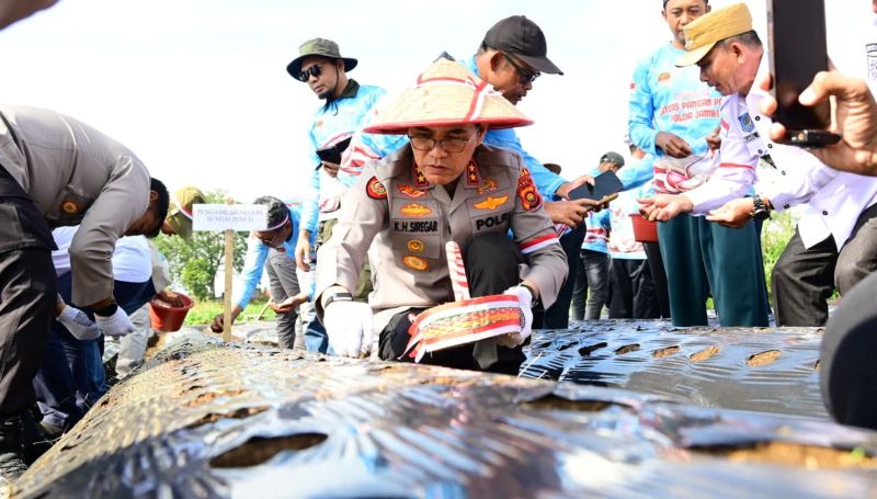 Polda Jambi Tanam Bawang Putih Lumbu Hijau di Kayu Aro Kerinci, Target Kurangi Impor dan Wujudkan Swasembada Pangan