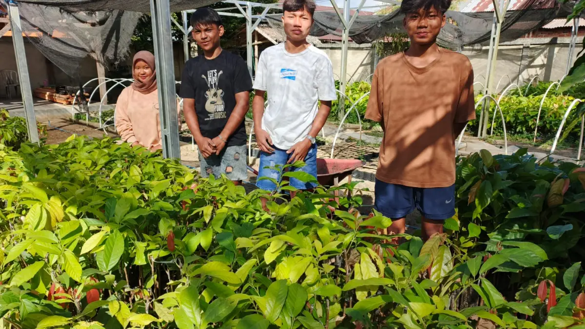 Petani Muda Kotamobagu Olah Limbah Kulit Kakao Jadi Pupuk Organik, Ini Harapan untuk Pertanian Mandiri
