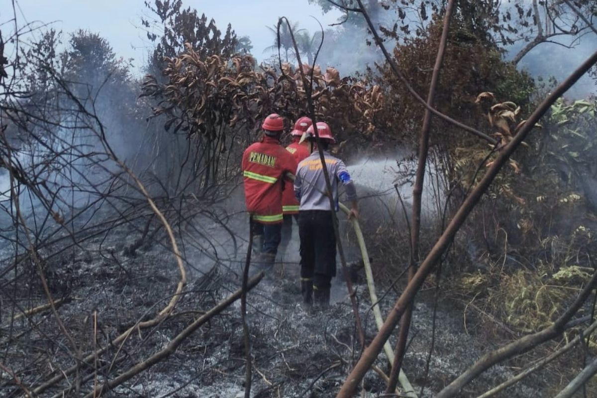 Pemkab Natuna Terbitkan Surat Edaran Siaga Kekeringan dan Karhutla, Warga Diminta Hemat Air hingga Tak Bakar Lahan