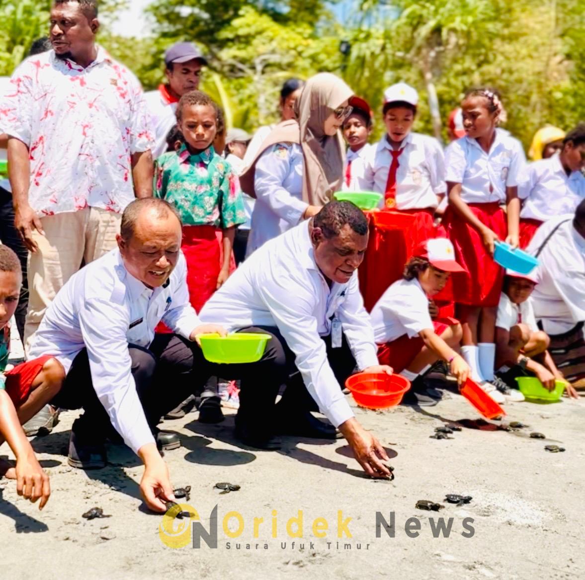 120 Tukik Dilepasliarkan di Pantai Sibuni Manokwari, Pemprov Papua Barat Targetkan Kampung Konservasi Penyu