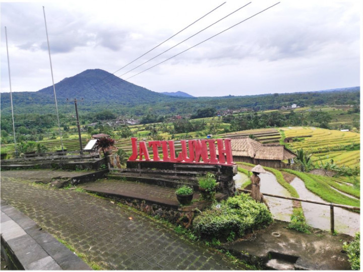 Jatiluwih Bukan Cuma Sawah Bertingkat, Desa di Lereng Gunung Batukaru Ini Tawarkan Wisata Budaya yang Hidup