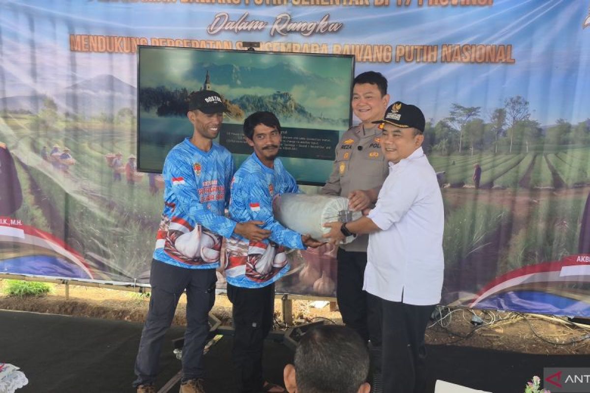 DPKP Sumedang Uji Coba Bawang Putih di Lahan 1 Hektare, Target Produksi 15-20 Ton per Hektare