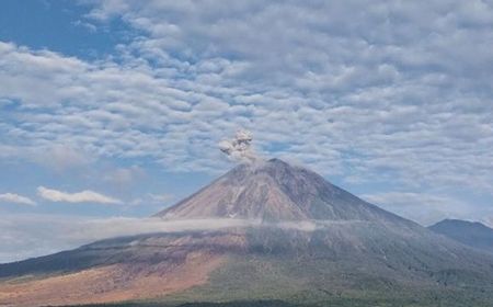 Gunung Ibu, Lewotobi Laki-laki, dan Semeru Erupsi Beruntun, Badan Geologi Keluarkan Rekomendasi Larangan Aktivitas