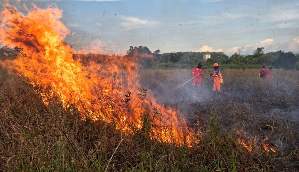 BMKG Prakirakan Cuaca Kalsel Cerah hingga Berawan Sepekan ke Depan, Suhu Capai 36 Derajat Celsius