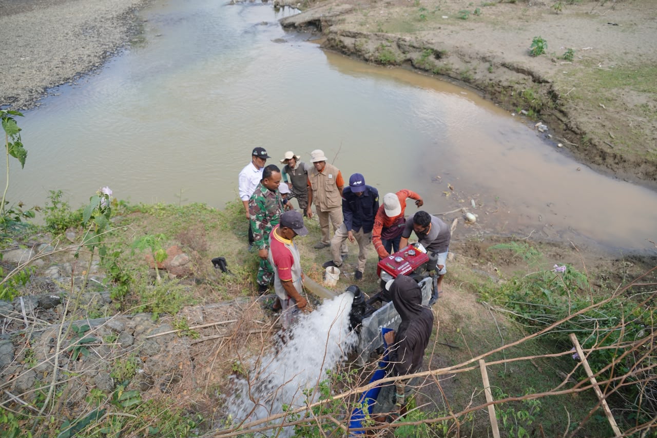 Bupati Luwu Kerahkan 18 Pompa Air Atasi Kekeringan 3.025 Hektare Sawah, Tambahan 30 Unit Disiapkan