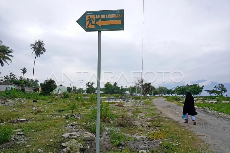 Butuh 700 Rambu Evakuasi, BPBD Palu Baru Pasang 350 untuk 122 Jalur Penyelamatan Warga