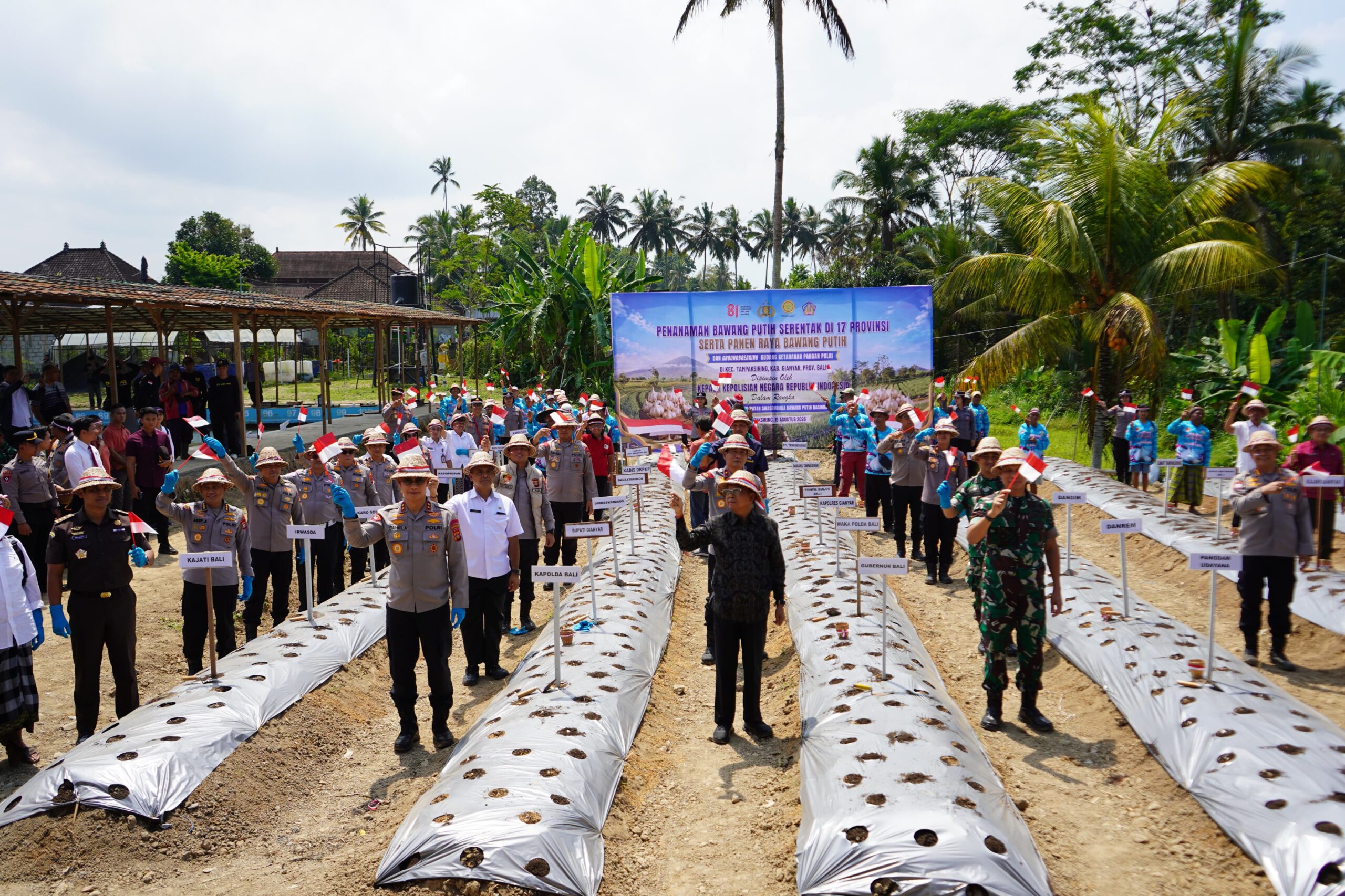 Gubernur Bali Wayan Koster Dukung Polri Tanam Bawang Putih di Gianyar, Target 2.795 Ton Nasional