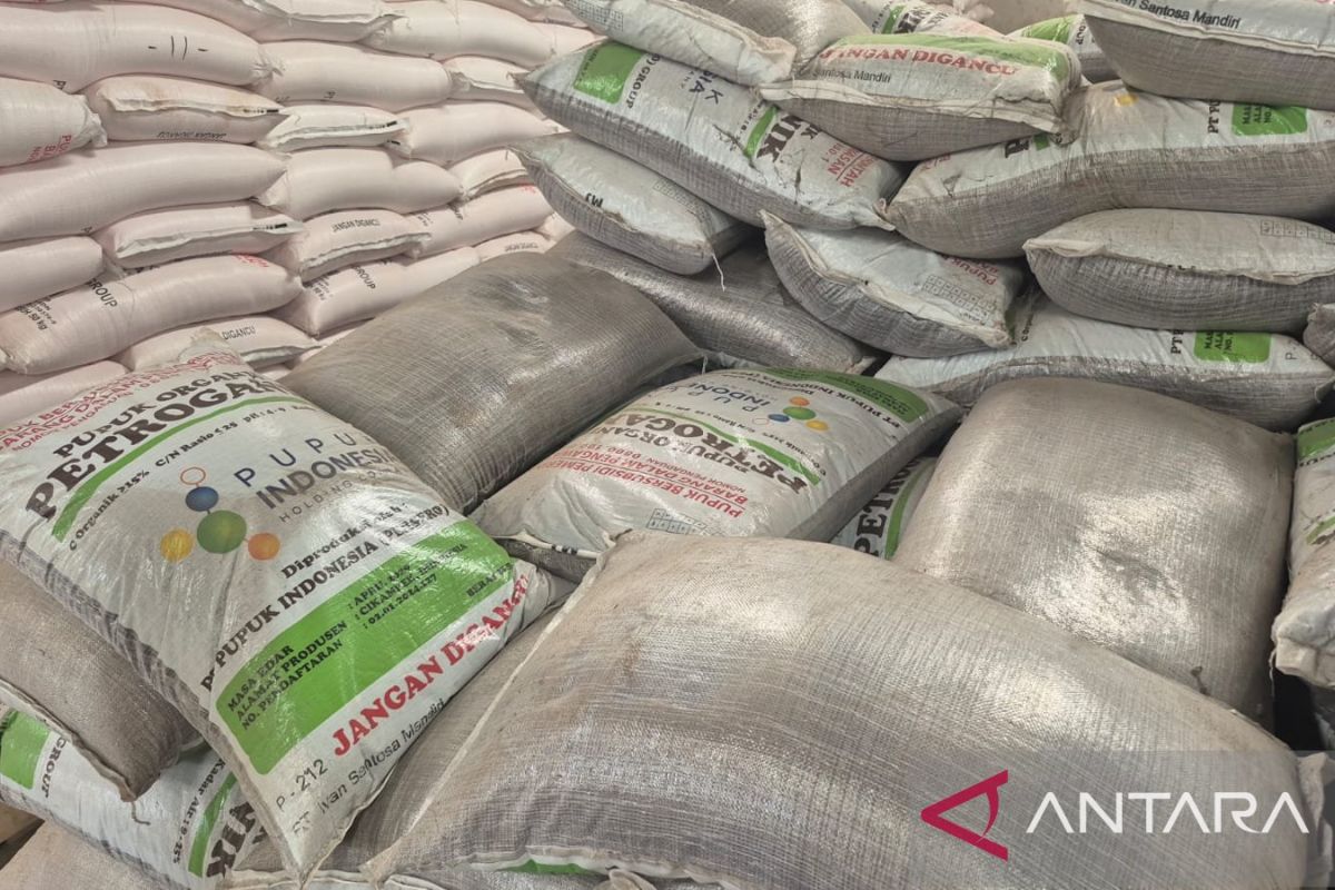 Harga Pupuk di Sumedang Turun 20 Persen, Petani Ujungjaya: Beban Produksi Padi Mulai Terasa Ringan