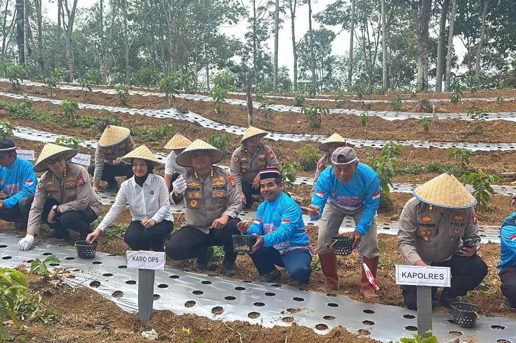 Polres Lebong Tanam 75 Kg Bibit Bawang Putih di Lahan 832 Mdpl, Libatkan 70 Petani dari Tiga Kelompok Tani