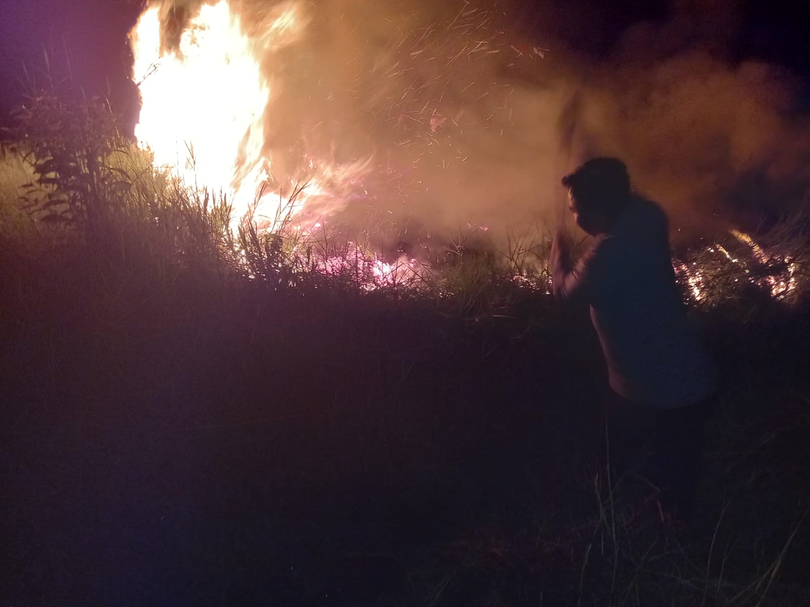 Kualitas Udara Paringin Masuk Kategori Tidak Sehat, Dinkes Balangan Imbau Warga Pakai Masker dan Kurangi Aktivitas Luar Ruangan