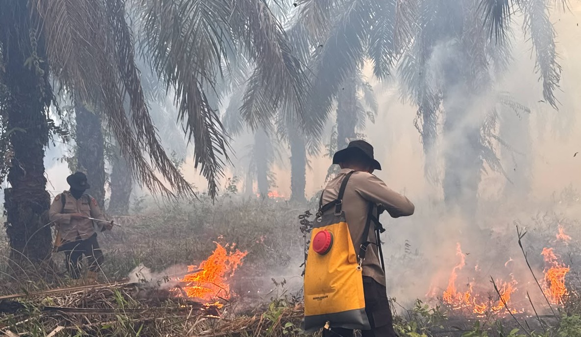 Polda Sumsel Kerahkan Personel Samapta Padamkan Titik Api Karhutla di Lahan PT PAR OKI