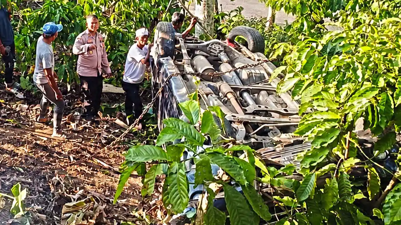 Mobil Masuk Kebun Kopi Sedalam 5 Meter di Leter S Tanggamus, Pengemudi Selamat Alami Luka Lecet
