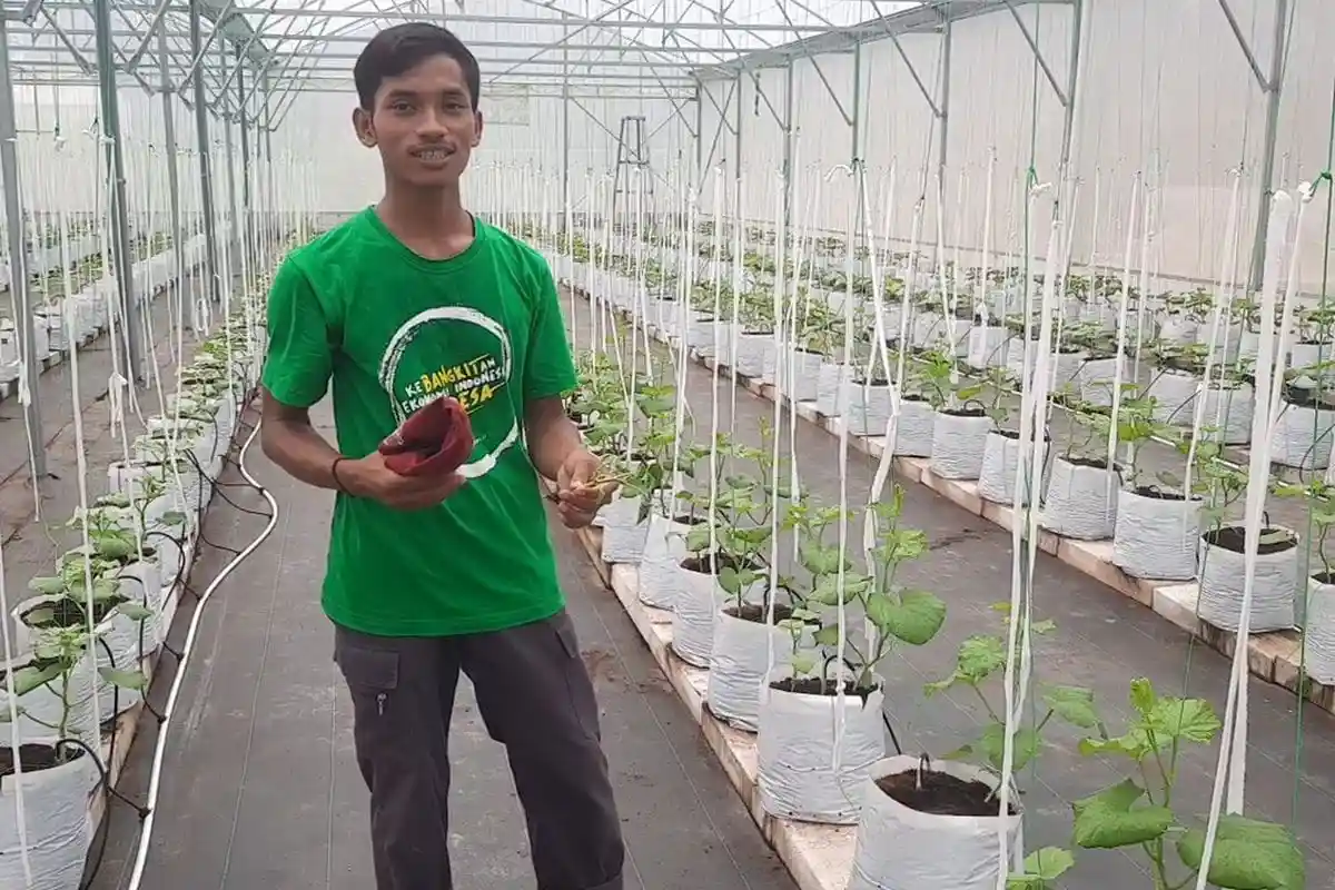 Agrowisata California Konawe Selatan Buka Lowongan Kerja, Ada Posisi Bartender dan Petugas Kebun untuk Warga Sekitar