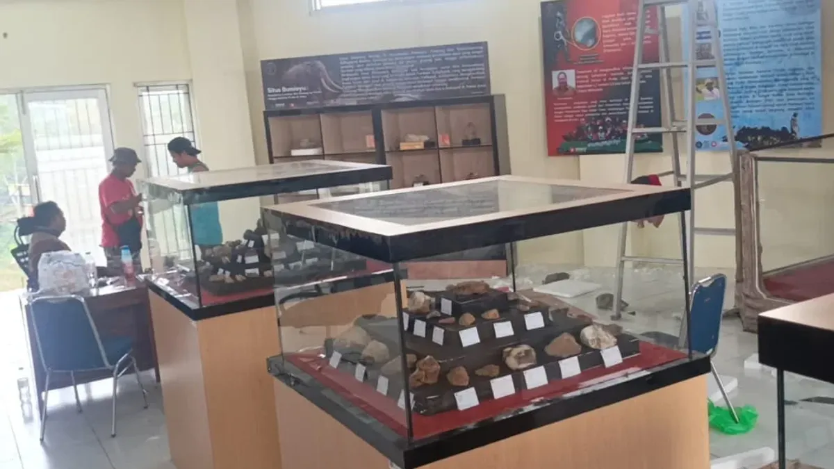 Museum Purbakala Buton Brebes Target Buka Akhir September, Koleksi Fosil Gajah Purba Situs Bumiayu Siap Dipamerkan