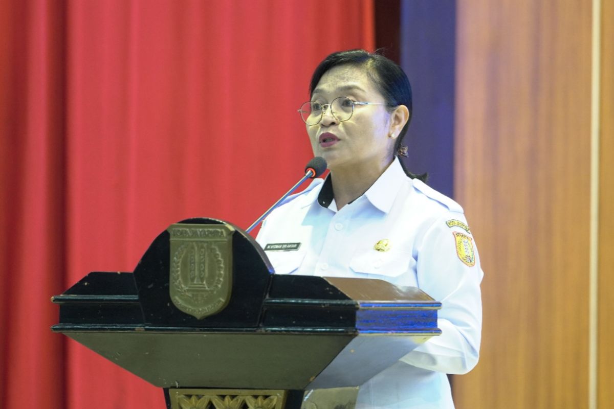 Pemkot Jayapura Perkuat Literasi di 14 Kampung lewat Bimtek Pengelola Perpustakaan dan Digitalisasi