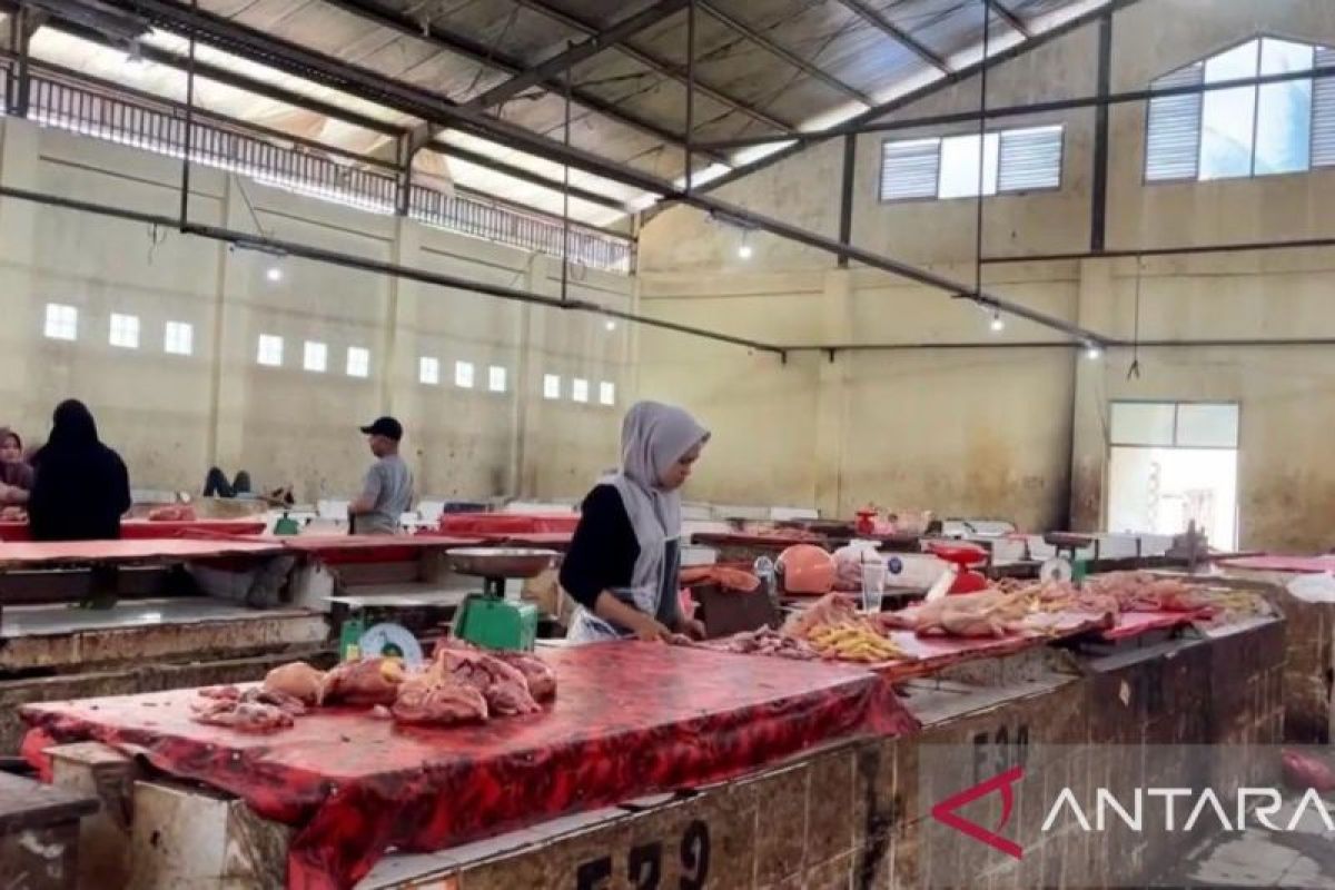 Harga Ayam di Pasar Kramat Tinggi Batang Hari Naik Jadi Rp 48 Ribu per Kilogram, Pasokan Menyusut