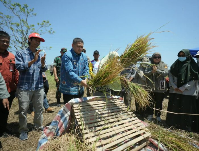 Wali Kota Makassar Bagikan Pupuk Organik dan Pompa Air ke Petani Bontoa, Targetkan Produksi Padi Naik di Tengah Kemarau