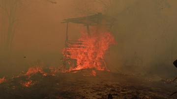 BMKG Deteksi 1.106 Titik Panas di Kalimantan, Karhutla Landa Enam Provinsi