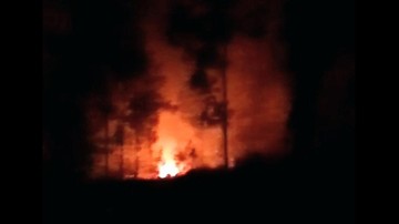 Kebakaran Lereng Gunung Ijen Bondowoso Meluas, Areal Perkebunan Kopi Warga Terancam