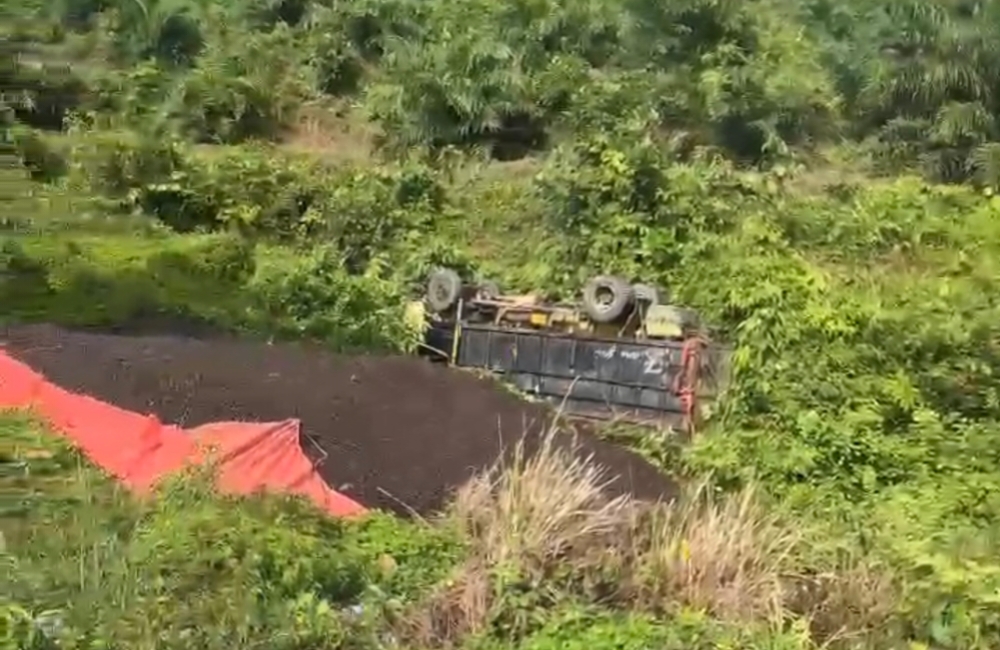 Truk Muatan Inti Sawit PT Alno Terguling di Tanjakan Mumbang, Sopir Selamat dari Tebing 8 Meter