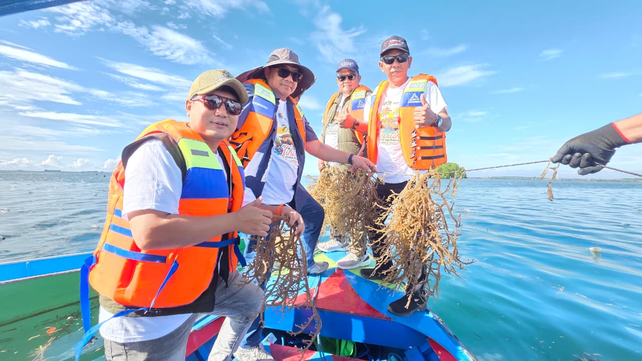 PAMA dan Indominco Mandiri Garap 22 UMKM Rumput Laut di Bontang, Panen 45 Hari Capai 2 Ton