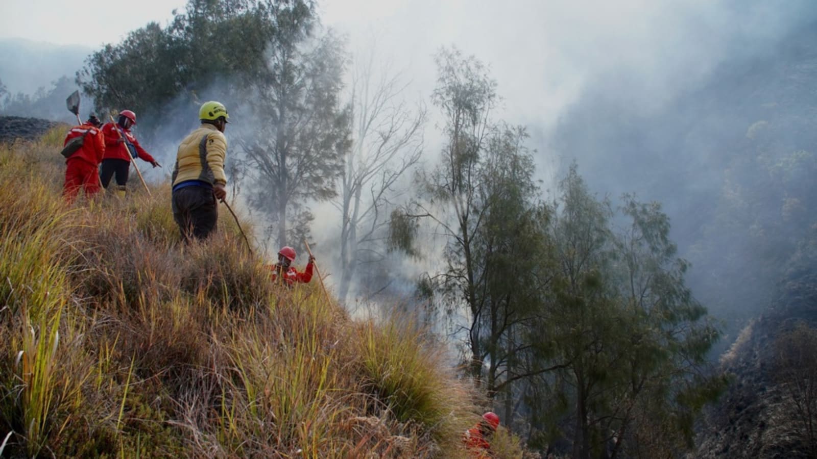 Gunung Bromo Resmi Buka Lagi dengan Kuota 2.752 Orang per Hari, Cek Aturan Barunya