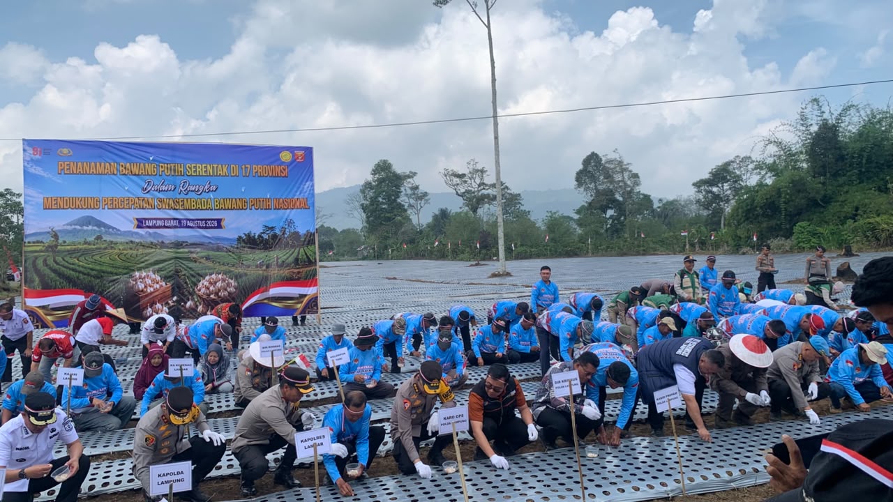 Polda Lampung dan Kapolri Tanam Bawang Putih Serentak di Lampung Barat, Bantuan Traktor Diserahkan ke Petani