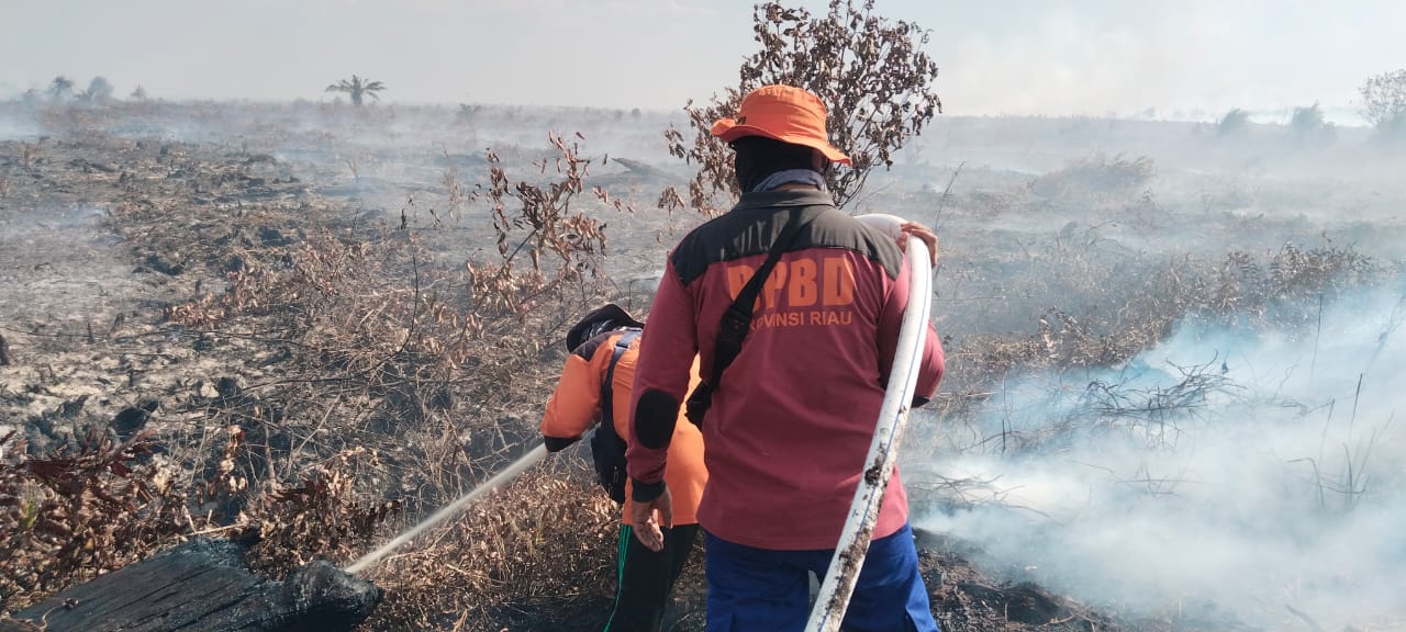 50 Titik Panas di Pelalawan Dominasi Hotspot Riau, BMKG Catat Penurunan Jadi 67 pada Kamis Pagi