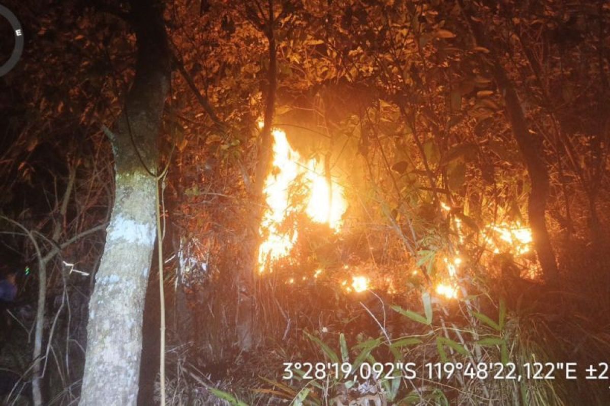 Gubernur Sulsel Andi Sudirman Imbau Warga Waspada Kebakaran Saat Puncak Kemarau, Tana Toraja dan Gowa Terdampak