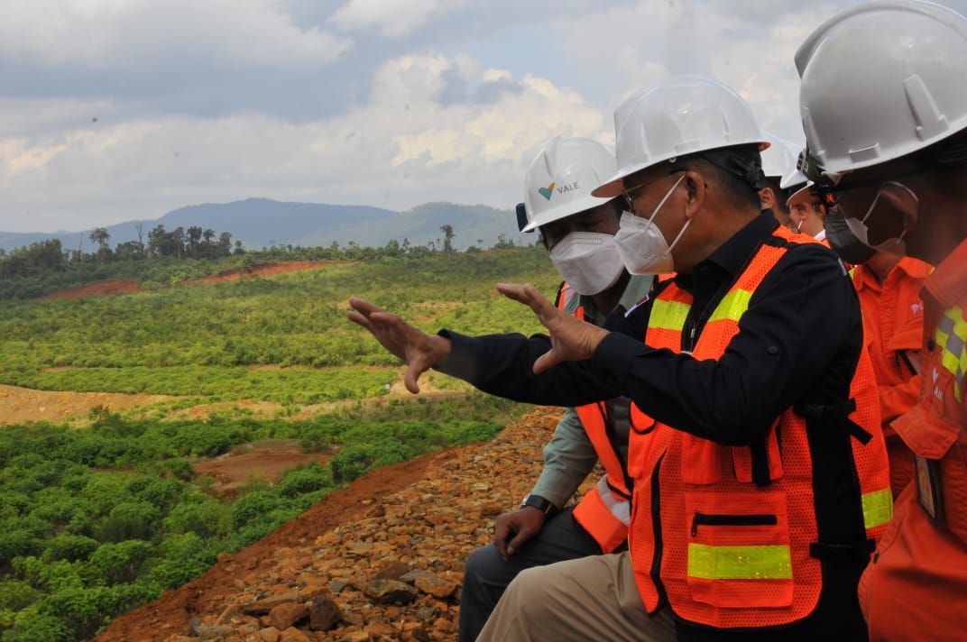 Tambang Nikel dan Batu Bara Dapat Lampu Hijau Lagi, ESDM Setujui