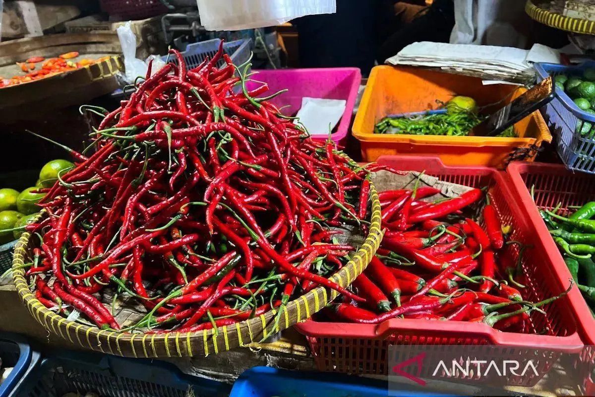 Harga Cabai Rawit di Jambi Tembus Rp52.750 per Kg, Telur Ayam Ras Rp22.650 per Kg
