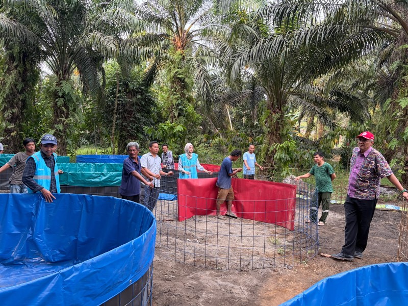 PLN Nusantara Power UP Tenayan Latih Warga Pekanbaru Budidaya Ikan Nila Bioflok, 15 Kolam Siap Panen