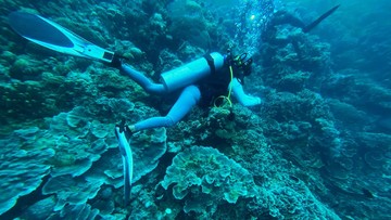 Terumbu Karang Indo-Pasifik Hancur Akibat Bom Ikan yang Meledak Setiap 62 Menit