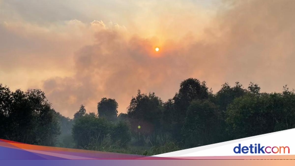 Karhutla Kalsel Tembus 1.651 Kejadian, 8.764 Hotspot Terdeteksi dan 6.905 Hektare Lahan Hangus
