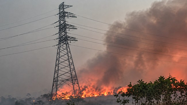 Karhutla Lamandau Ancam Gardu Induk PLN dan Permukiman, 2 Kabupaten di Kalteng Siaga; Helikopter Dikerahkan