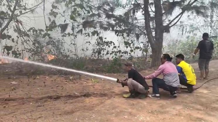 Kebakaran Lahan Landa 2 Titik di Morotai, Damkar Kewalahan dan Minta Warga Hentikan Bakar Sampah Sembarangan