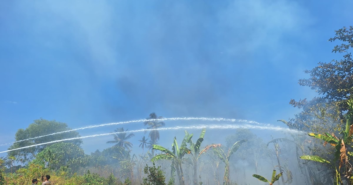 Polres Pulau Morotai Padamkan Kebakaran Rumput 2 Hektare di Daloha Resort, Api Sempat Dekat ke Pemukiman Warga
