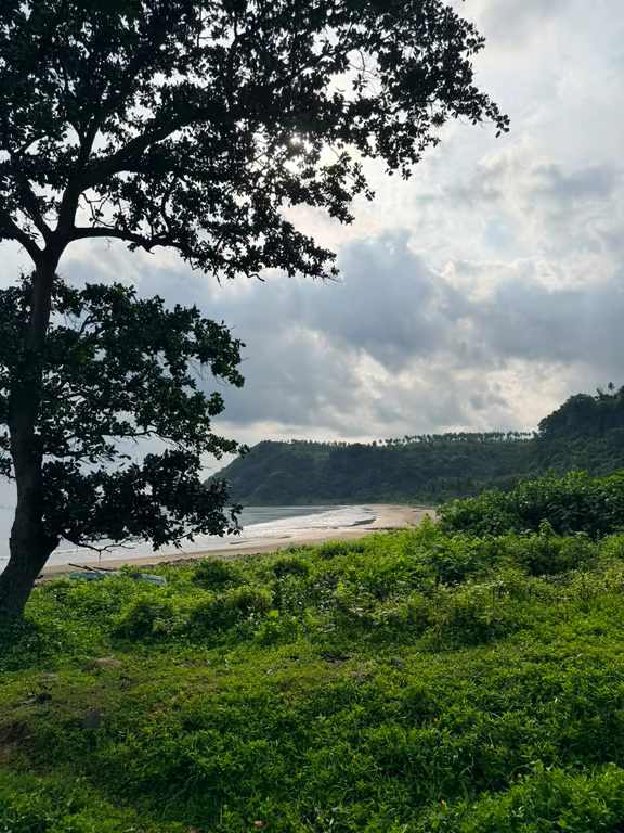 PTPN Group dan InJourney Garap Desa Wisata di Lampung Selatan, 810 Bibit Kelapa Ditanam untuk Warga
