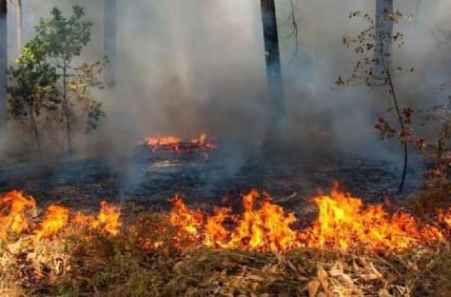 Karhutla Sumsel Tembus 1.926 Hektare, 449 Titik Hotspot Tersebar di 5 Kabupaten hingga Agustus 2026