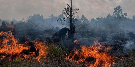 BPBD Riau Larang Warga Terbangkan Drone Dekat Lokasi Karhutla, Bisa Tabrak Heli Waterbombing di Kampar